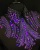 Пришивные стразы Галактик цвет Purple Velvet - фиолетовый (хрусталь Ю.Корея)