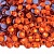 Premium HF Hyacinth - оранжевый ss20(4,6-4,8мм) 144шт